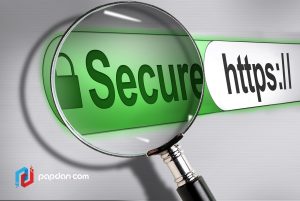 How SSL affected your SEO